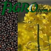 1agro.com.ua