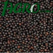 1agro.com.ua