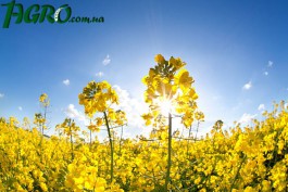1agro.com.ua