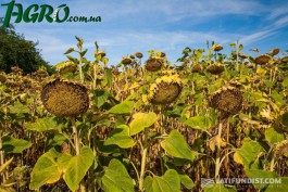 1agro.com.ua