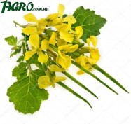 1agro.com.ua