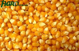 1agro.com.ua