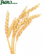 1agro.com.ua