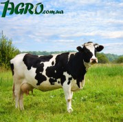 1agro.com.ua