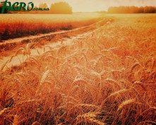 1agro.com.ua