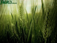 1agro.com.ua