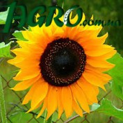 1agro.com.ua