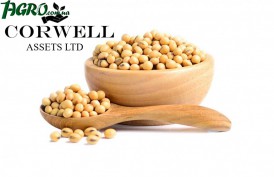 1agro.com.ua