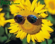 1agro.com.ua