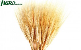 1agro.com.ua
