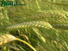 1agro.com.ua