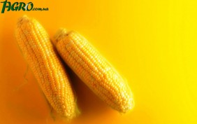 1agro.com.ua