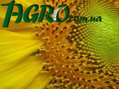 1agro.com.ua