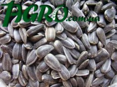 1agro.com.ua
