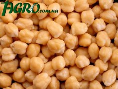 1agro.com.ua