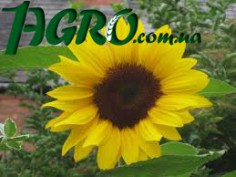 1agro.com.ua