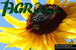 1agro.com.ua