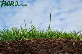 1agro.com.ua
