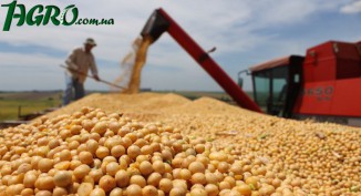 1agro.com.ua