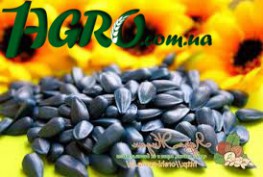 1agro.com.ua