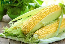 1agro.com.ua
