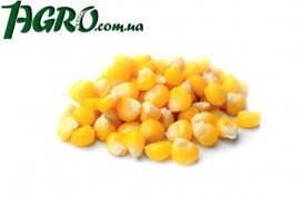 1agro.com.ua