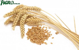 1agro.com.ua