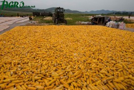 1agro.com.ua