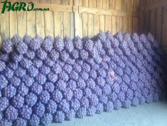 1agro.com.ua