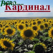 1agro.com.ua