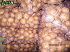 1agro.com.ua