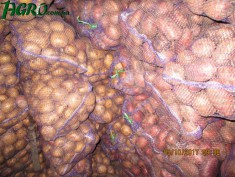 1agro.com.ua