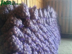 1agro.com.ua