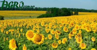 1agro.com.ua