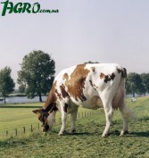 1agro.com.ua