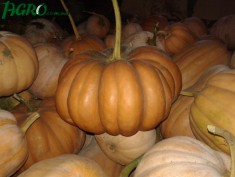 1agro.com.ua