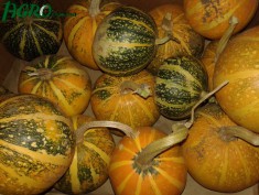 1agro.com.ua