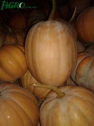 1agro.com.ua