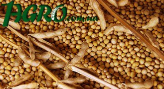 1agro.com.ua