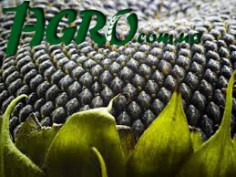 1agro.com.ua