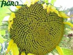 1agro.com.ua