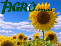 1agro.com.ua