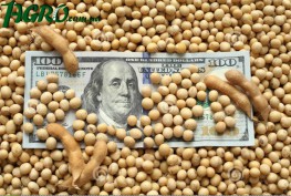 1agro.com.ua