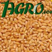 1agro.com.ua