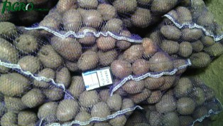 1agro.com.ua