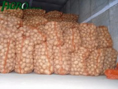 1agro.com.ua