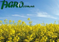 1agro.com.ua