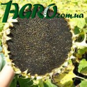 1agro.com.ua