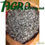 1agro.com.ua