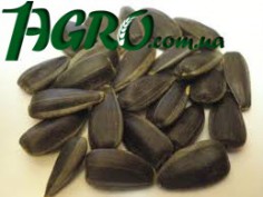 1agro.com.ua